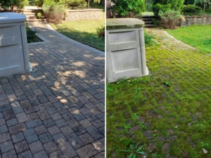 Patio Power Washing Before & After